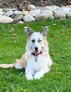 Riley